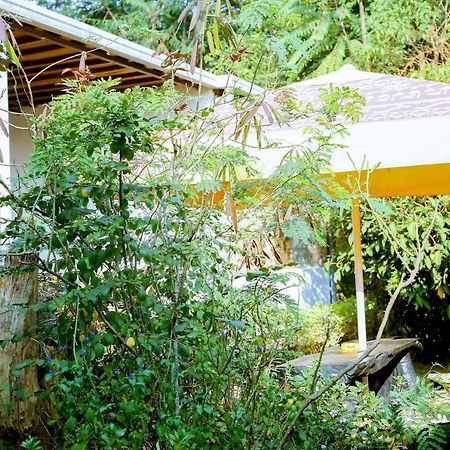 Inzozi Africa House B&B-Kimihurura Kigali Exterior photo